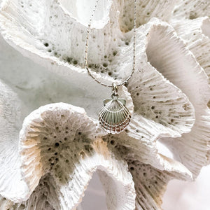 Laguna Treasures Laguna Treasures Oceaan Ketting Schelp Zilver