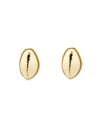 Pura Vida Pura Vida Cowrie Stud Earrings Gold