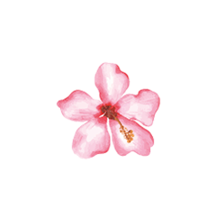 <strong>Het hele jaar open!</strong>