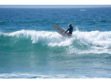 Aipa Aipa Modern Swallow - NFT - Futures - 5 Fin