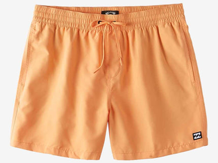Billabong Billabong All Day Layback Boys Boardshort Melon