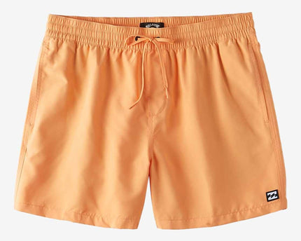Billabong Billabong All Day Layback Boys Boardshort Melon