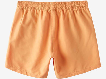 Billabong Billabong All Day Layback Boys Boardshort Melon