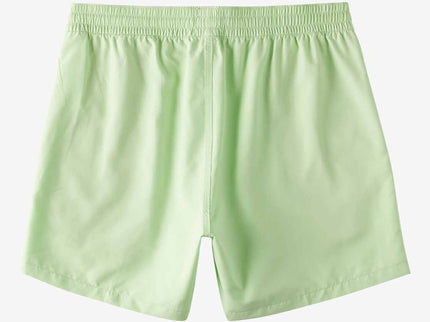 Billabong Billabong All Day Layback Boys Boardshort Pistachio