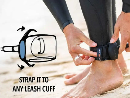 FCS FCS POD x Sharkbanz