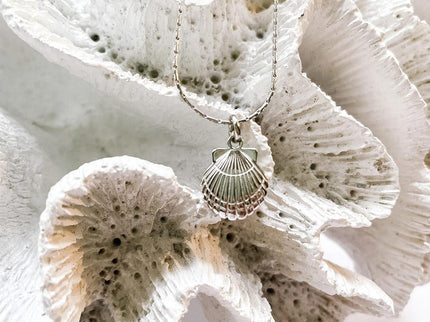 Laguna Treasures Laguna Treasures Oceaan Ketting Schelp Zilver