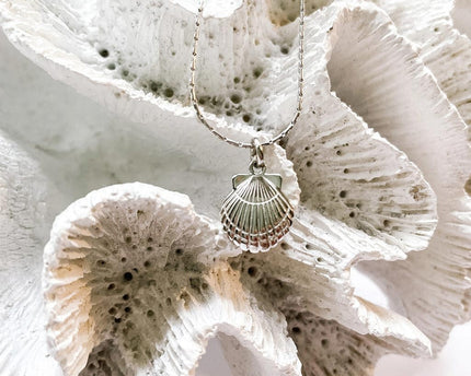 Laguna Treasures Laguna Treasures Oceaan Ketting Schelp Zilver