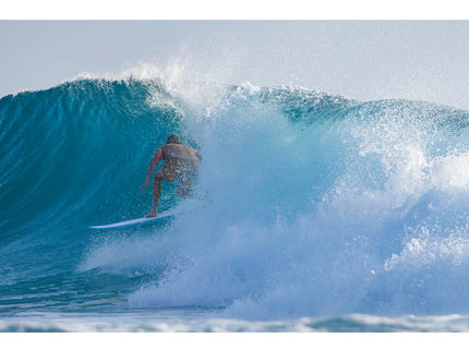 Torq Torq Fish TEC - FCS II - 2 Fin