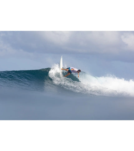 Torq Torq Mod Fish TET - Futures - 5 Fin