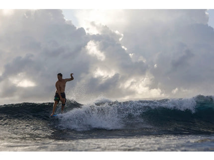 Torq Torq The Don HP ACT - Futures - 4 + 1 Fin