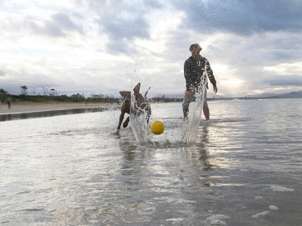 Waboba Waboba Pet Fetch Ball
