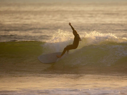 Wayne Rich Wayne Rich - Checkmate - NFT - Single Fin