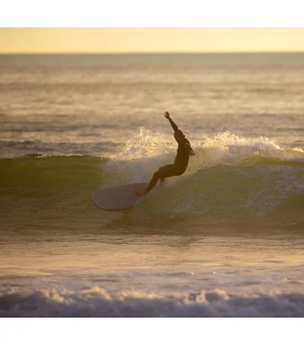 Wayne Rich Wayne Rich - Checkmate - NFT - Single Fin