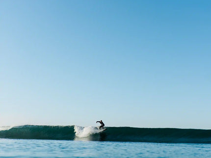 Wayne Rich Wayne Rich - Singularity - Carbon - FCS II - 2 + 1 Fin