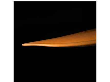 Wayne Rich Wayne Rich Wildcard 3 NFT Longboard - Single Fin