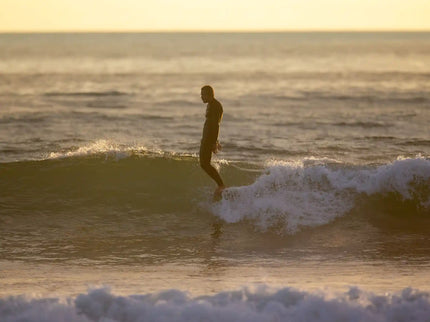 Wayne Rich Wayne Rich Wildcard 3 NFT Longboard - Single Fin