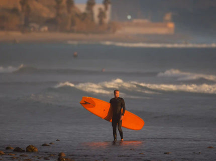 Wayne Rich Wayne Rich Wildcard 3 NFT Longboard - Single Fin